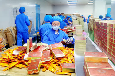 強化科技創新引擎，阿榮旗引領民營企業高質量發展